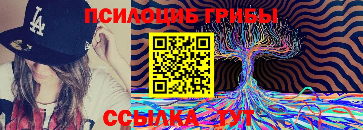 Галлюциногенные грибы GOLDEN TEACHER Усолье-Сибирское